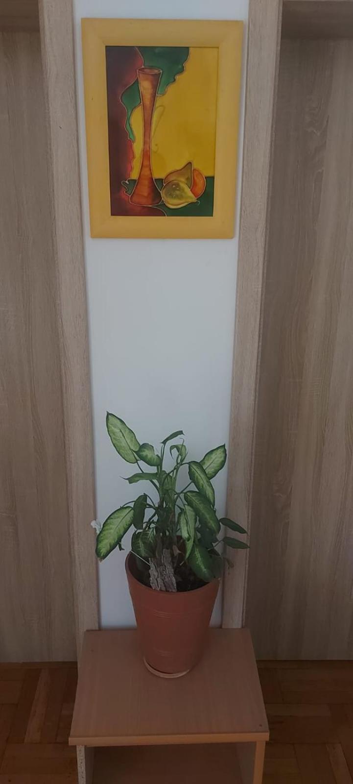 Hostel Poznan Ngoại thất bức ảnh